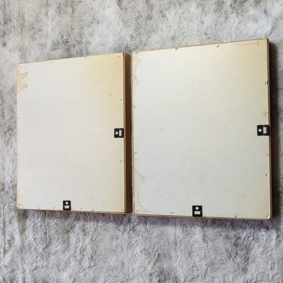 Vintage 2 Real Seashell Shadow Boxes Wooden Framed Wall Coastal Beach Art - Picture 4 of 9